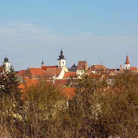 The Views Appartamento Sibiu Esterno foto